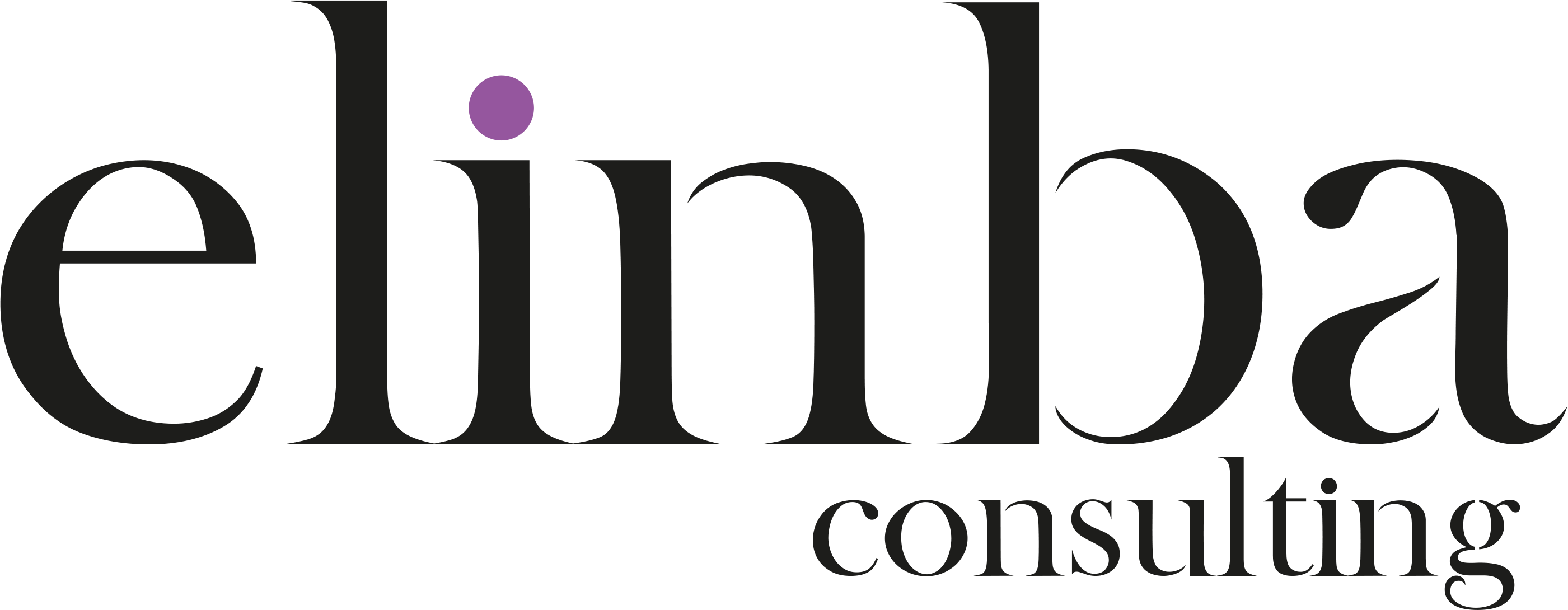 Elinba Consulting
